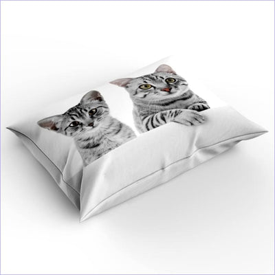 Morning Hug Cats Dekbedovertrek