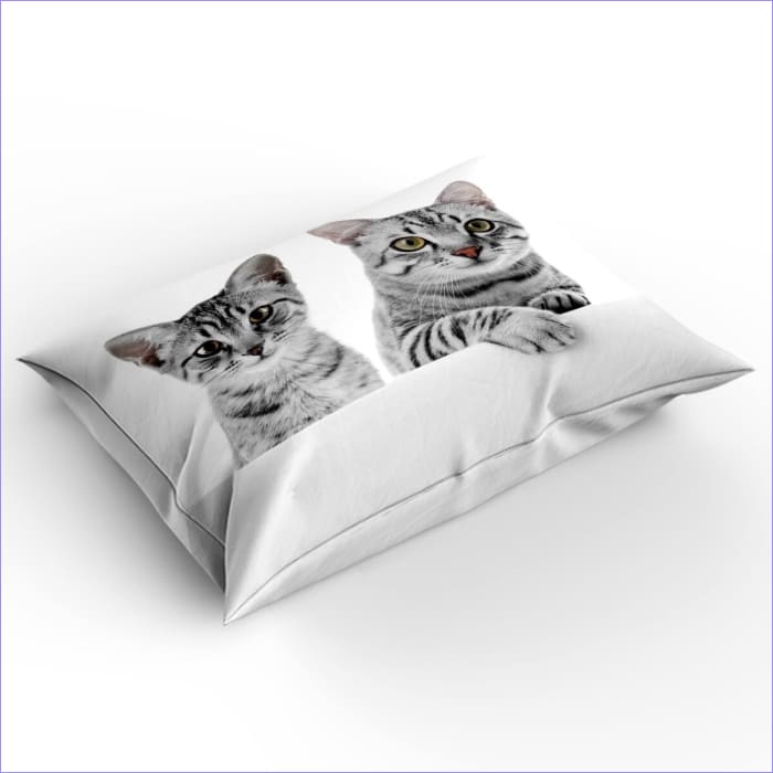 Morning Hug Cats Dekbedovertrek